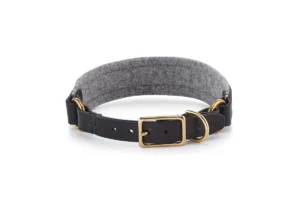 Cane Siena, Collar, BlackFelt Gray