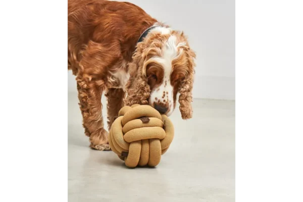 Cane Tubo, Activity Toys, Curry