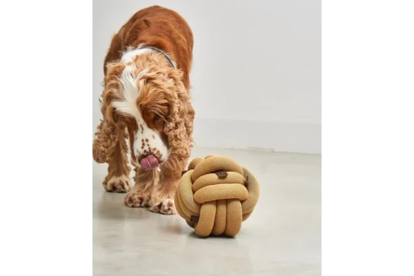 Cane Tubo, Activity Toys, Curry