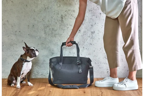 Cane Vacanza, Weekender, Asphalt