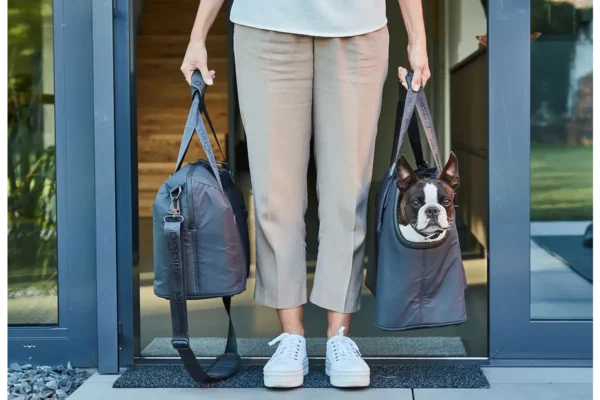 Cane Vacanza, Weekender, Asphalt