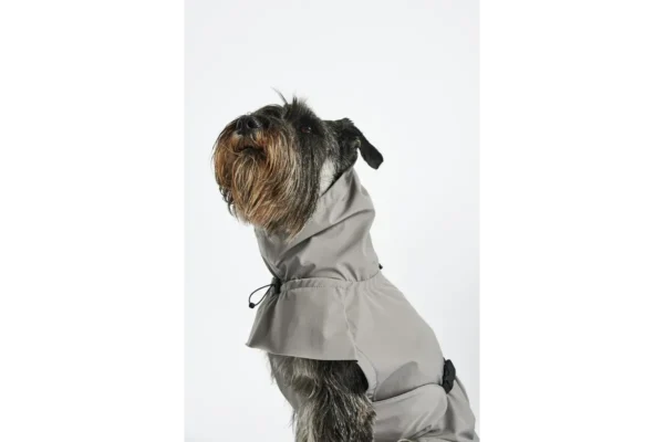 Cane Valentina, Regenjas, Beton