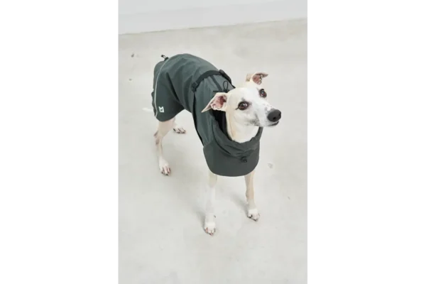 Cane Valentina, Raincoat, Midnight Green
