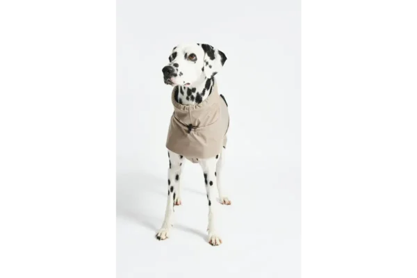 Cane Valentina, Raincoat, Sand