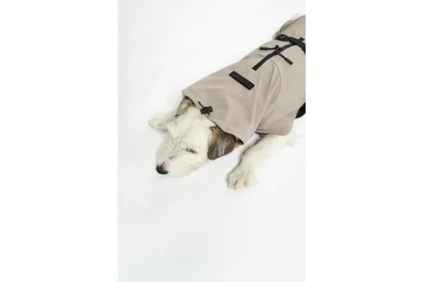 Cane Valentina, Raincoat, Sand