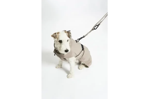 Cane Valentina, Raincoat, Sand