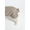 Cane Valentina, Raincoat, Sand
