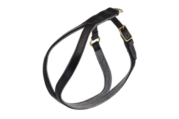 Cane Verona, Harness, Black