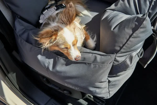 Cane Urbano Set, City Bag Set, Asphalt