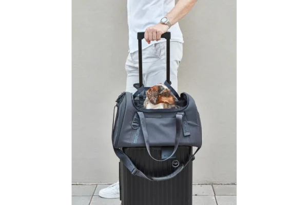 Cane Volata, Travel Bag, Asphalt