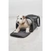 Cane Volata, Travel Bag, Asphalt