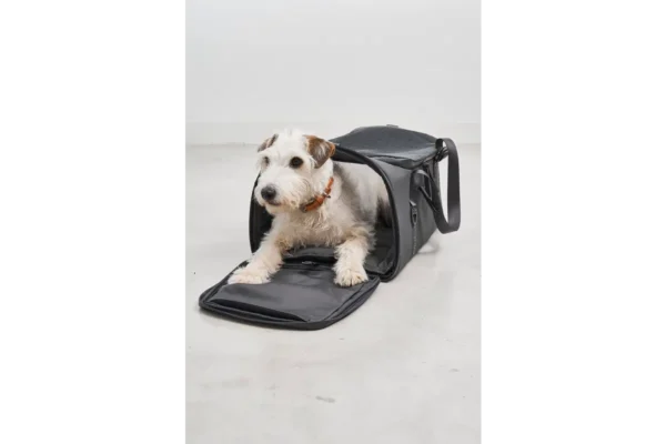 Cane Volata, Travel Bag, Asphalt