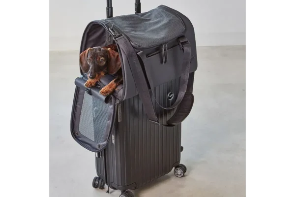 Cane Volata, Travel Bag, Asphalt