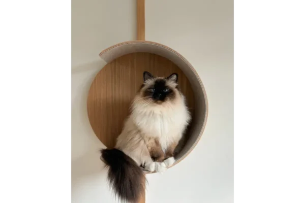 miacara-gatto-alto-nest-eiken-natuurlijk-vilt-beig (4) Gatto Alto, Nest, Oak Natural/Felt Beige