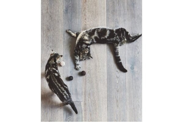 Gatto Filo, Cat Toy Ball, Black