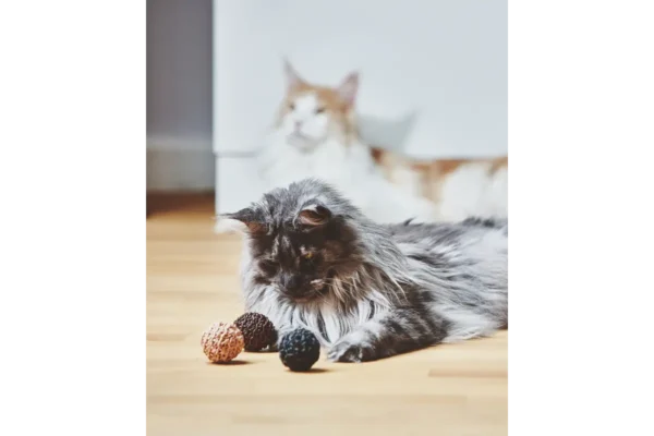 Gatto Filo, Cat Toy Ball, Black