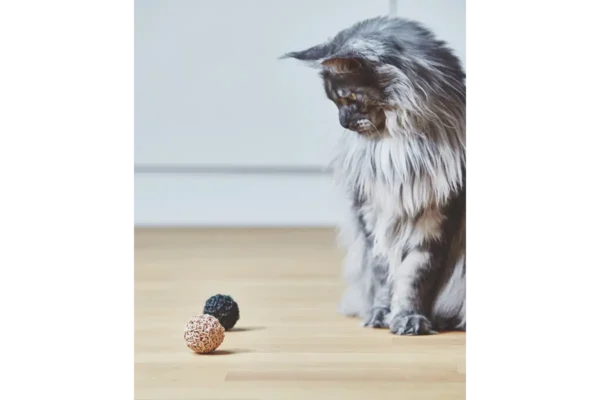 Gatto Filo, Cat Toy Ball, Black