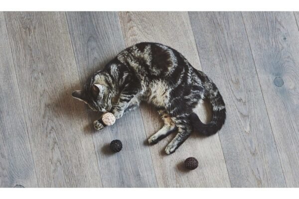 Gatto Filo, Cat Toy Ball, Black