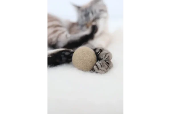 Gatto Globo, Cat Toy, Nougat