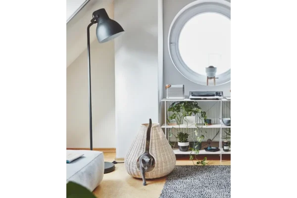 Gatto Perla, Cat Cave, Natural