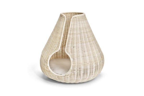 Gatto Perla, Cat Cave, Natural