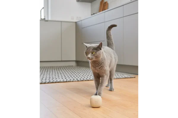 Gatto Rotolo, Activity Toys, Greige