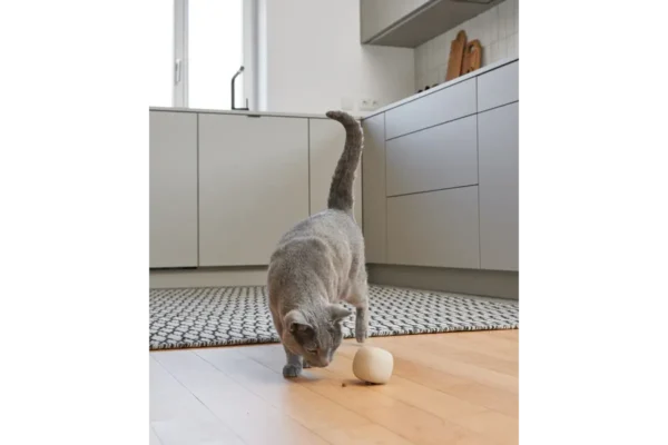 Gatto Rotolo, Activity Toys, Greige