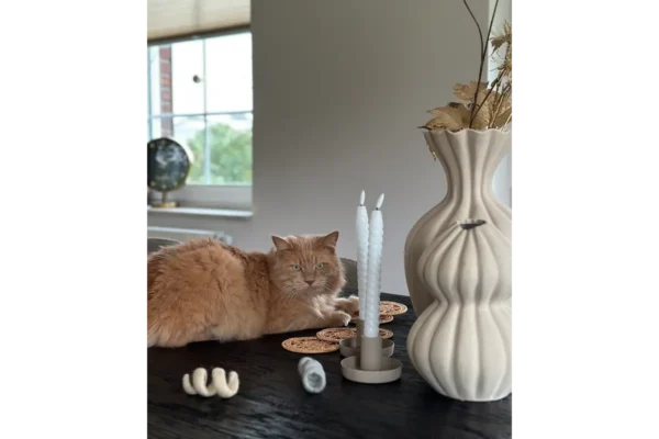 Gatto Spira, Cat toy, Moon